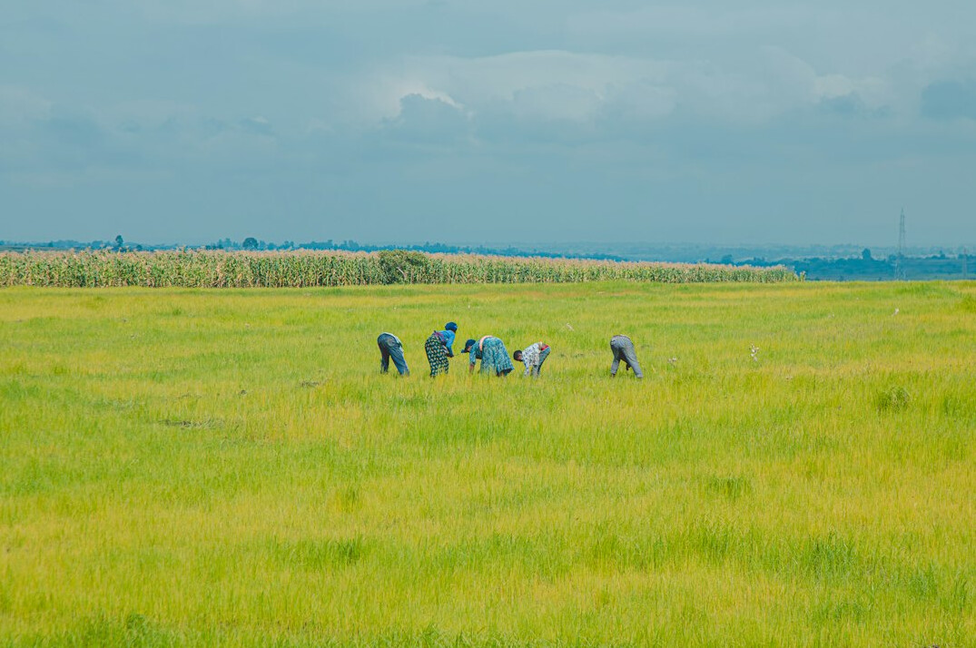 investigators in field